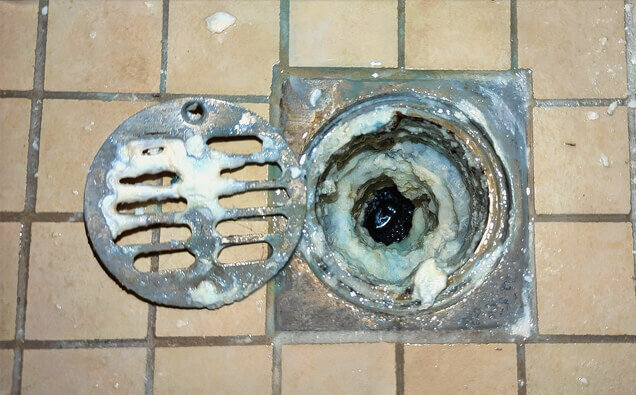 https://blockeddrainsmarangaroo.com.au/uploads/2025/07/blocked-shower-drains-33151.jpg