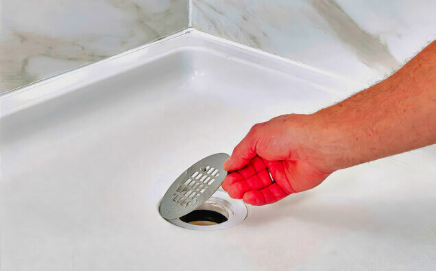 https://blockeddrainsmarangaroo.com.au/uploads/2025/07/blocked-shower-drains-90992.jpg