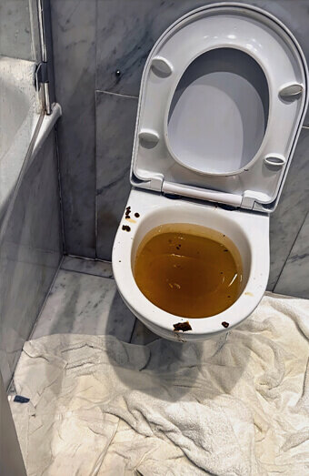 https://blockeddrainsmarangaroo.com.au/uploads/2025/07/blocked-toilet-27793.jpg