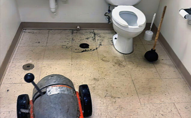 https://blockeddrainsmarangaroo.com.au/uploads/2025/07/blocked-toilet-36908.jpg