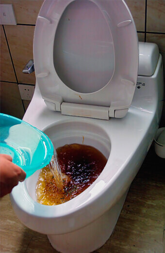 https://blockeddrainsmarangaroo.com.au/uploads/2025/07/blocked-toilet-93159.jpg
