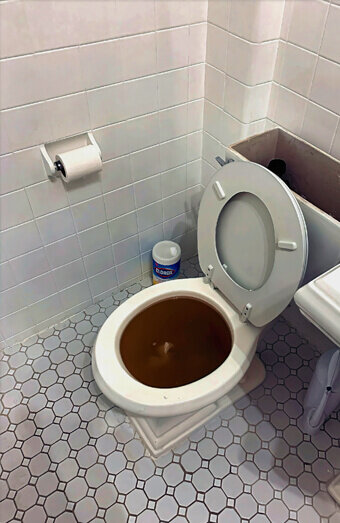 https://blockeddrainsmarangaroo.com.au/uploads/2025/07/blocked-toilet-99184.jpg
