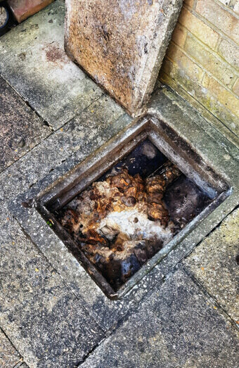 https://blockeddrainsmarangaroo.com.au/uploads/2025/07/hero-blocked-sewers-64792.jpg