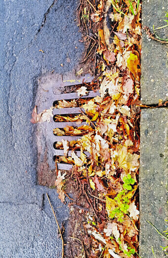 https://blockeddrainsmarangaroo.com.au/uploads/2025/07/stormwater-drains-48051.jpg